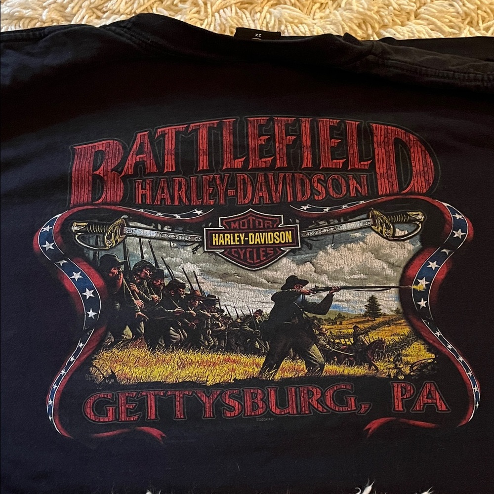 Harley-Davidson Black and Blue Eagle Tee - Picture 2 of 3